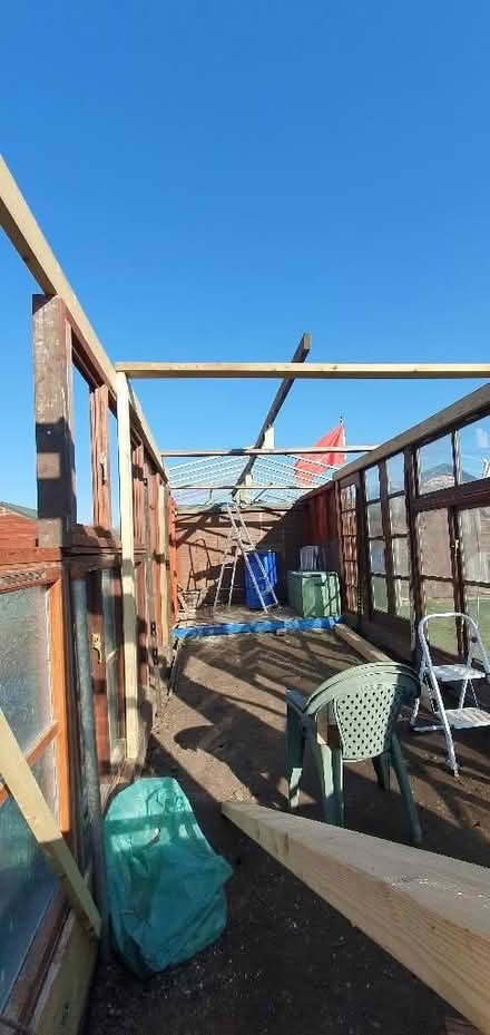 Photo of free Wooden Greenhouse made from Hard Wood Doors and Windows (Corringham SS17) #3