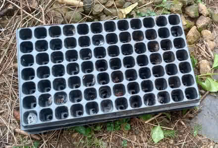 Photo of free Plug trays for seedlings (Westfield, Radstock) (Wells Road) #1