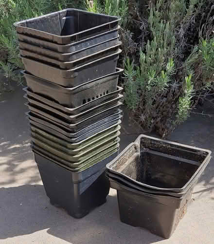 Photo of free Seed Starter Pots (94087) #1