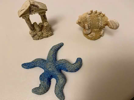 Photo of free A few ornaments for fish tank (Ware SG12) #1