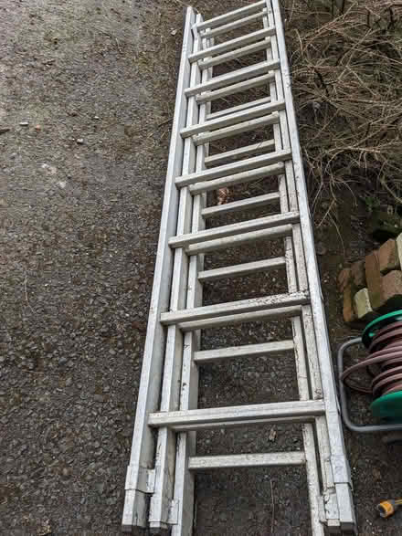 Photo of free Ladder (Bashall Eaves BB7) #1