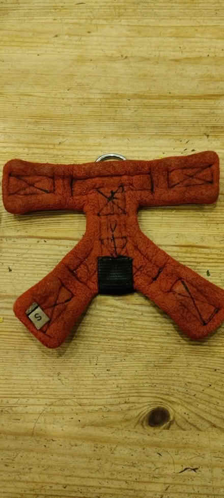 Photo of free Perfect fit Dog harness S (Staple Hill BS16) #2
