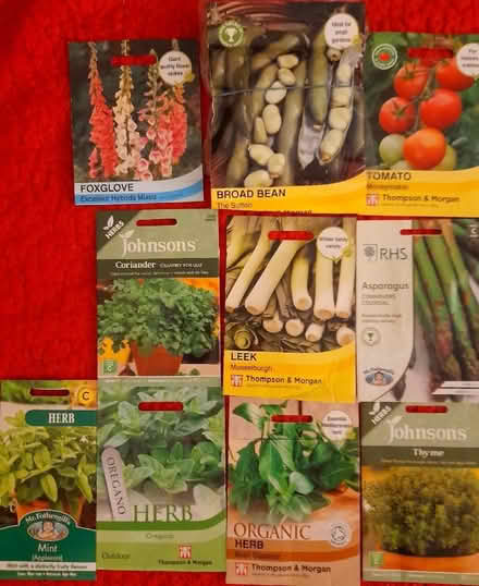Photo of free Seed packets (Newmills KY12) #1