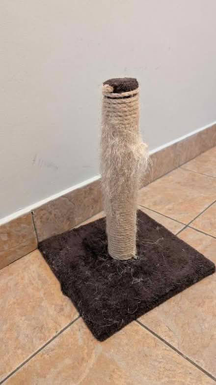 Photo of free Cat scratching pole (SW12) #1
