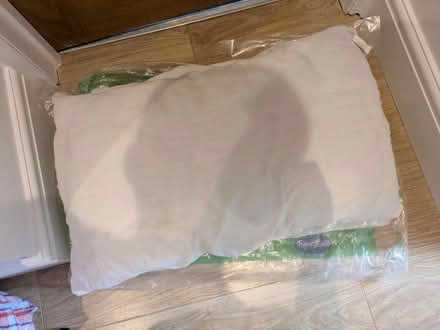 Photo of free 2 pillows (Median Road, E5) #1