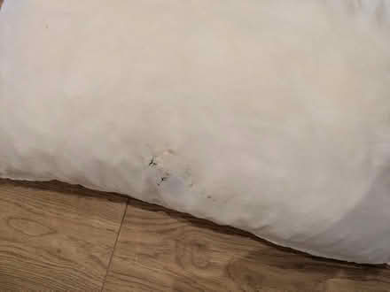 Photo of free More pillows (Median Road, E5) #2