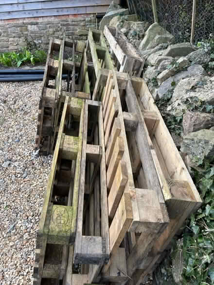 Photo of free 9 Wooden Pallets (Chantry, Frome BA11) #2