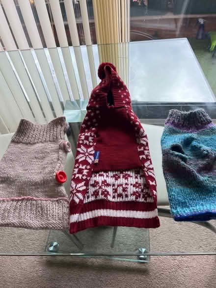 Photo of free Coats for tiny dogs (Newark) #1