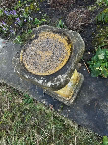 Photo of free Bird bath for garden (Pannal HG2) #2