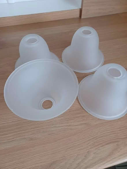 Photo of free Frosted glass lamp shades (Fareham PO16) #2