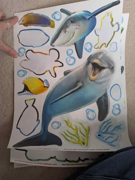 Photo of free Sea underwater wall stickers (Bernards Heath AL3) #3