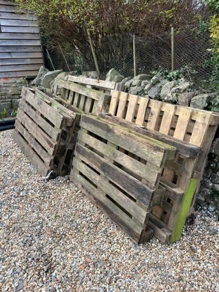Photo of free 9 Wooden Pallets (Chantry, Frome BA11) #1
