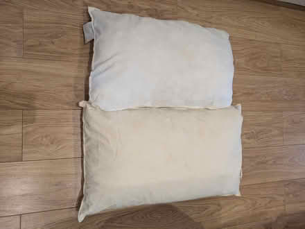 Photo of free More pillows (Median Road, E5) #1