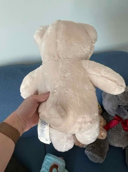 Photo of free Stuffed animals (West Chester) #1