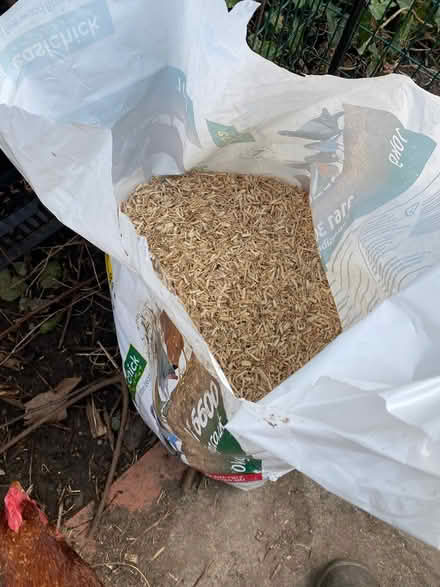 Photo of free Left over easy chick bedding (Upper Norwood SE19) #1