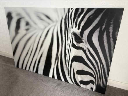 Photo of free Large zebra canvas (Buckhurst Hill IG9) #2