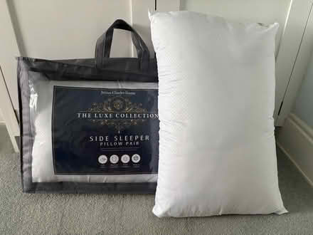 Photo of free Pair of pillows bought recently (Lower Weston) #1