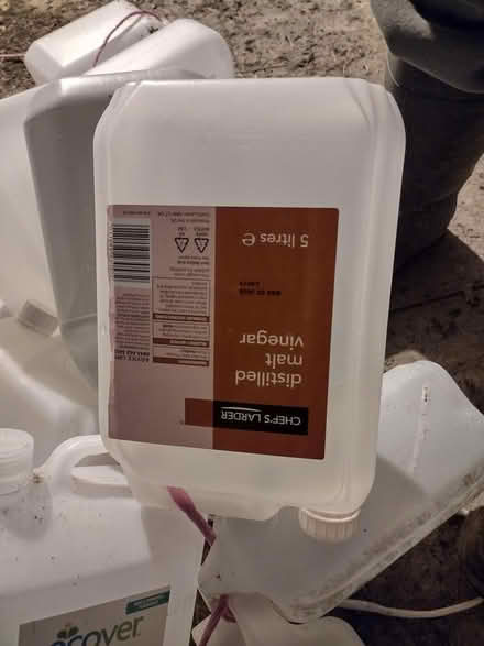 Photo of free 5 litre plastic bottles (Chapel Lawn) #2