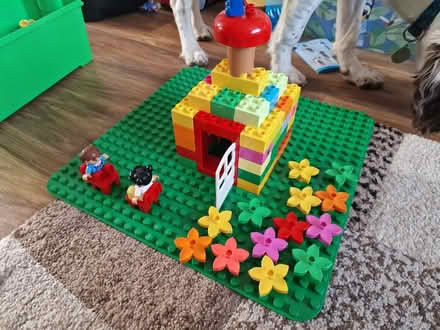 Photo of Duplo (Hester's Way GL51) #1