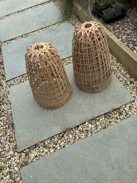 Photo of free Plant cloches (Hayle TR27) #1