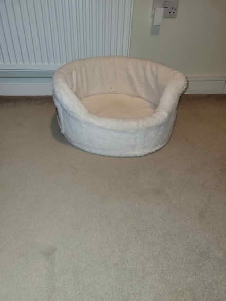 Photo of free Puppy Bed (Goodrington TQ4) #1