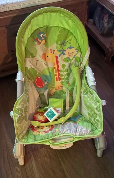 Photo of free Animal bouncing chair (Chatham) #1