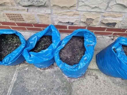 Photo of free 7 Bags of Top Soil (Wakefield WF12RY) #2