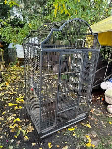Photo of free Large parrot cage (Farnborough) #2