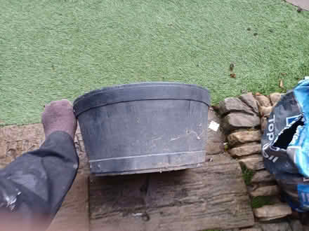 Photo of free Flower pot (Walsworth SG4) #2