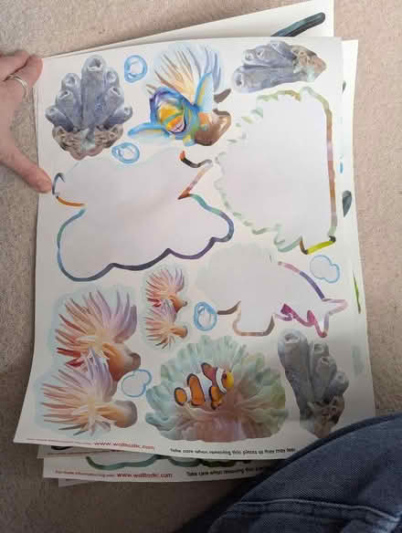 Photo of free Sea underwater wall stickers (Bernards Heath AL3) #2