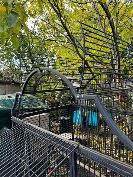 Photo of free Large parrot cage (Farnborough) #1