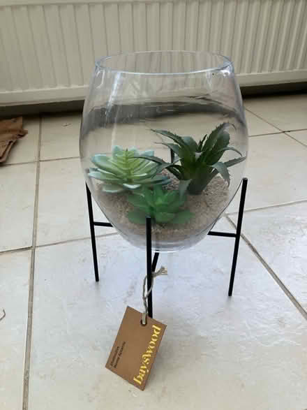 Photo of free Realistic succulents and stand (Blackmore CM4) #2