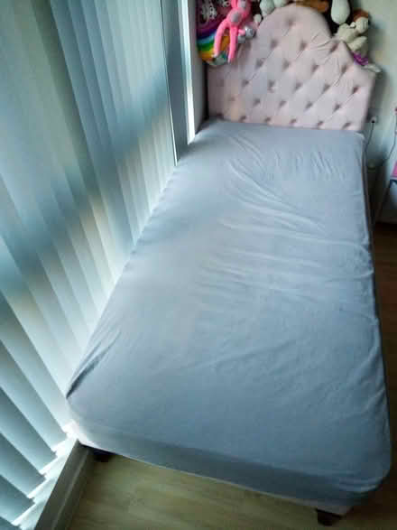 Photo of free Pink single bed and mattress (Herschel street SL1) #1