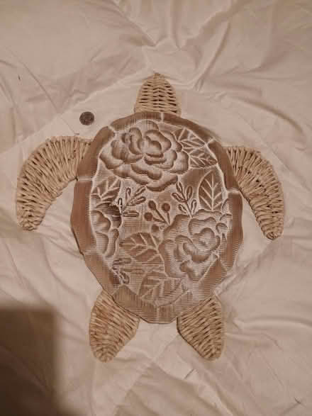 Photo of free Turtle wall decoration (Abbey Hey M18) #1