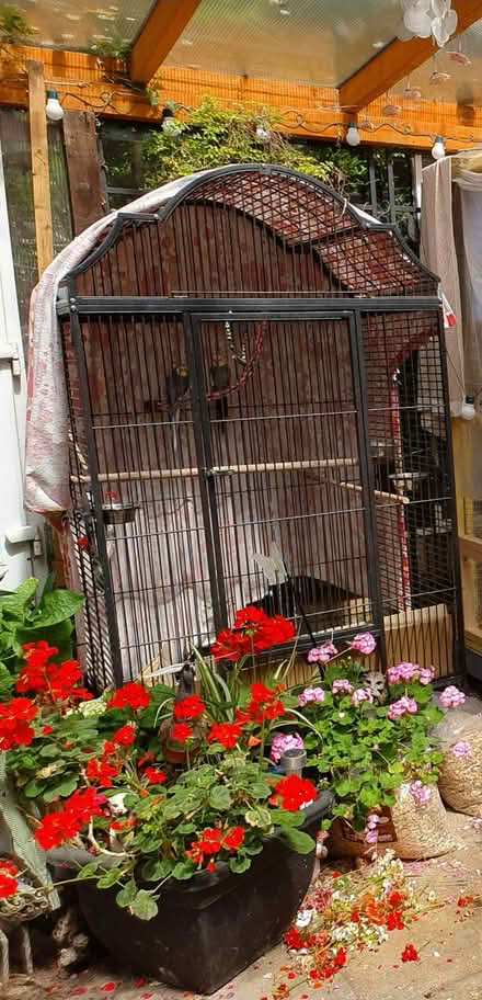 Photo of free Large parrot cage (Farnborough) #3