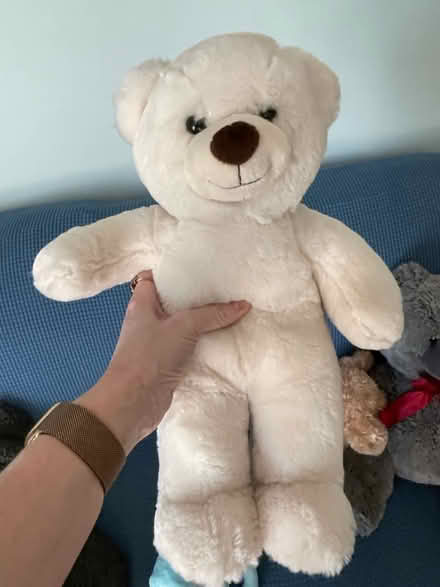 Photo of free Stuffed animals (West Chester) #2