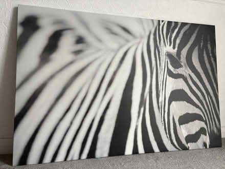 Photo of free Large zebra canvas (Buckhurst Hill IG9) #1