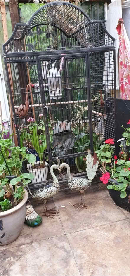 Photo of free Large parrot cage (Farnborough) #4