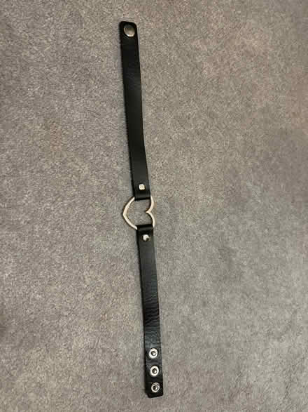 Photo of free Leather heart choker accessory (SW4) #1