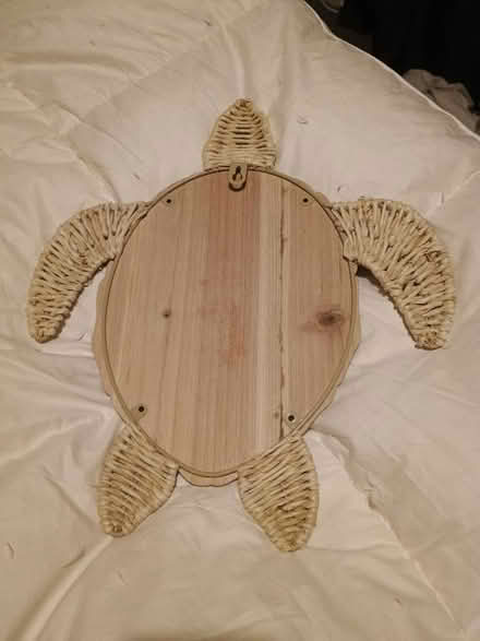 Photo of free Turtle wall decoration (Abbey Hey M18) #2