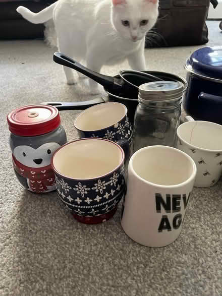 Photo of free Kitchen scale, mugs and pans (Jericho, OX2) #3