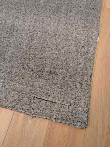 Photo of free Dog mat / bed (Caversham RG4) #2