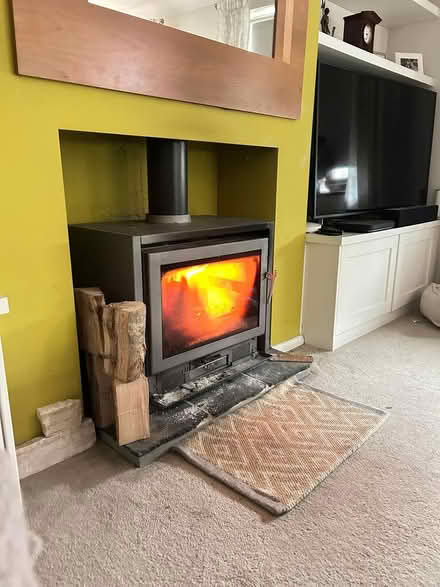 Photo of free Wood burner / log burner stove (BH231HG) #1