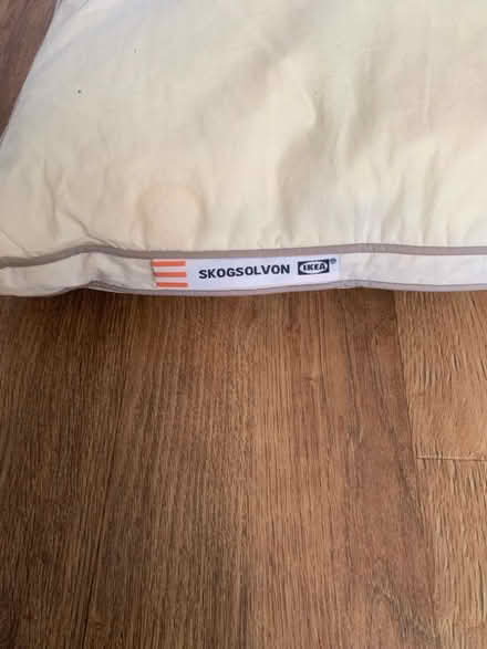 Photo of free Pillow (Malvern WR14) #3