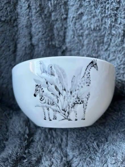 Photo of free Plates and bowls (Writtle CM1) #2