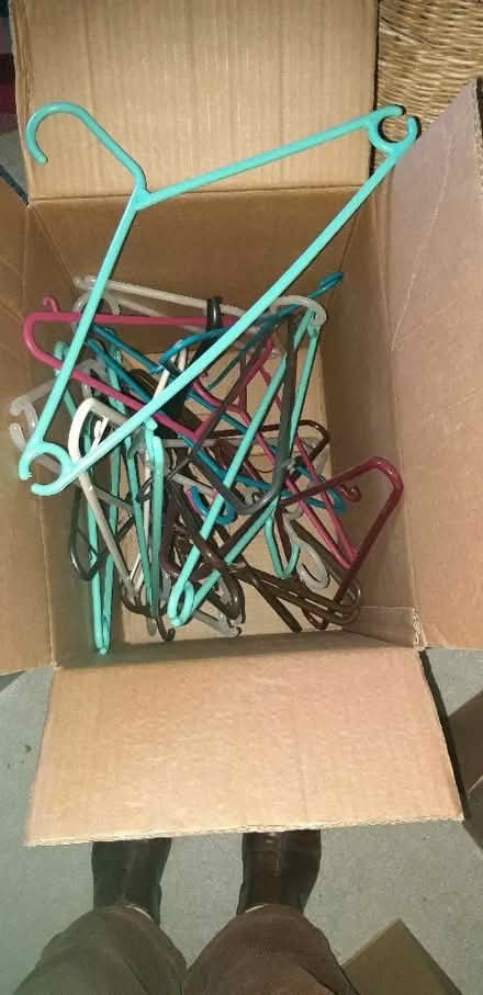 Photo of free Plastic coat hangers (Stroud Green N4) #1
