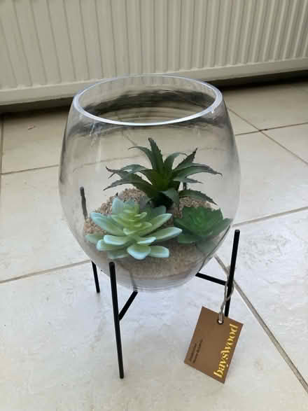Photo of free Realistic succulents and stand (Blackmore CM4) #1