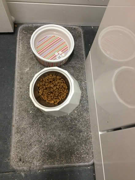 Photo of free Carpet samples (Chelmsford CM1) #1