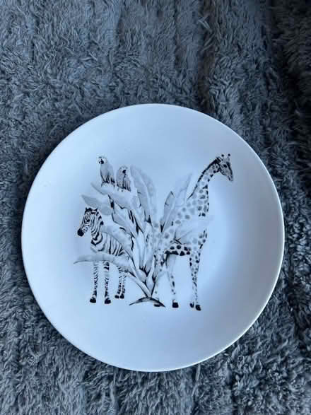 Photo of free Plates and bowls (Writtle CM1) #1