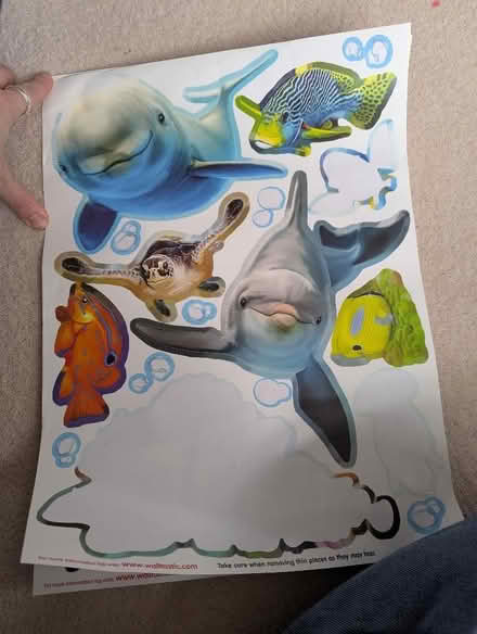 Photo of free Sea underwater wall stickers (Bernards Heath AL3) #4